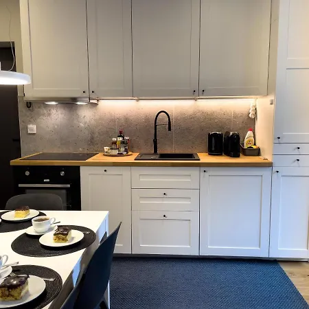 Urabn Apartments Studio With Garden No 2A Chorzow Katowice Free Private Parking, Self Check-In Eksteriør bilde