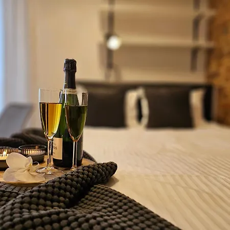 Urabn Apartments Studio With Garden No 2A Chorzow Katowice Free Private Parking, Self Check-In Eksteriør bilde